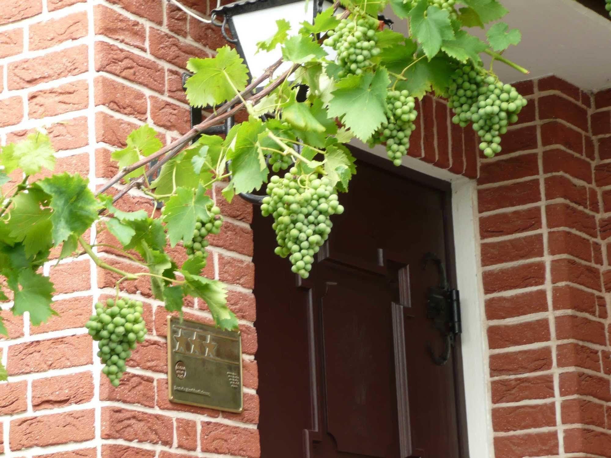 波恩兰德酒店 包纳塔 外观 照片